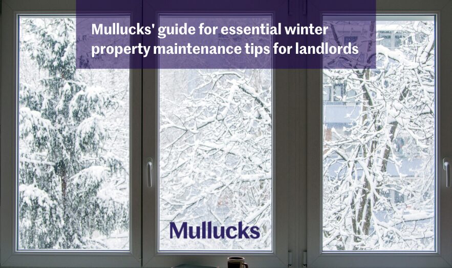 Snow-covered trees viewed through a window, representing Mullucks’ guide for essential winter property maintenance tips for landlords.