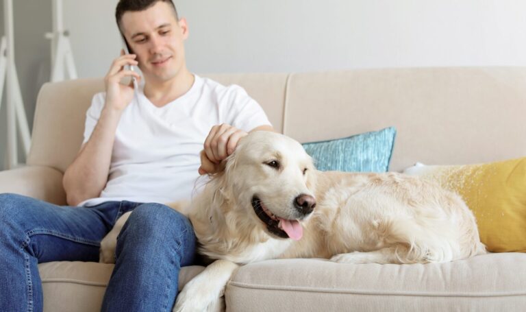 Tenant sitting on a sofa with a golden retriever in a rented home, reflecting new 2026 pet request rights under the Renters’ Rights Act